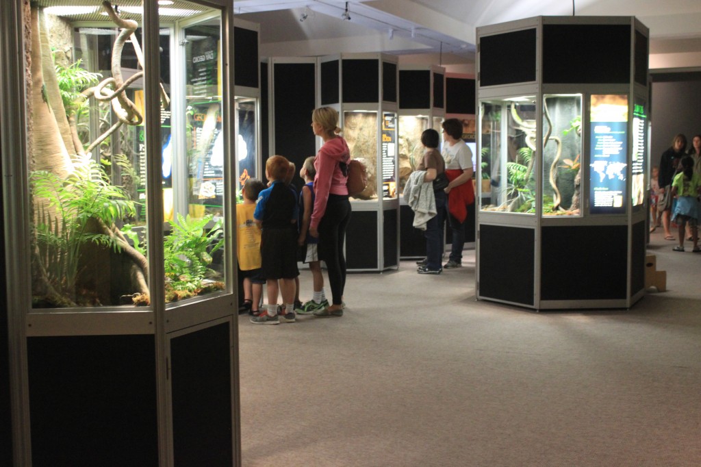 Kids and adults enjoy the gecko exhibit