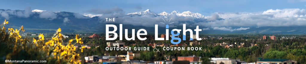 cropped-BlueLightGuide_webbanner_2020.png