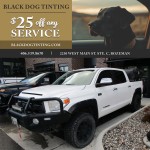 BlackDogTinting-MeganGorsky1-LR