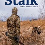 Stalk2024_CoverLR