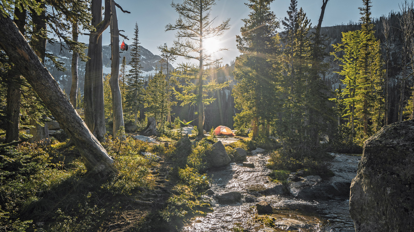 Camping in the Bitterroot National Forest